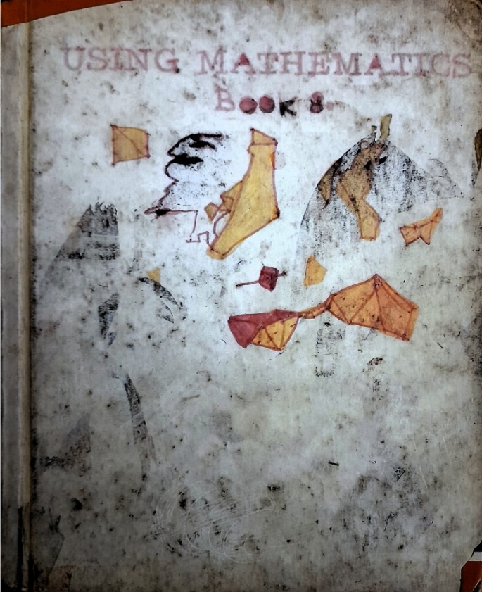 Using Mathematics (Book 8)