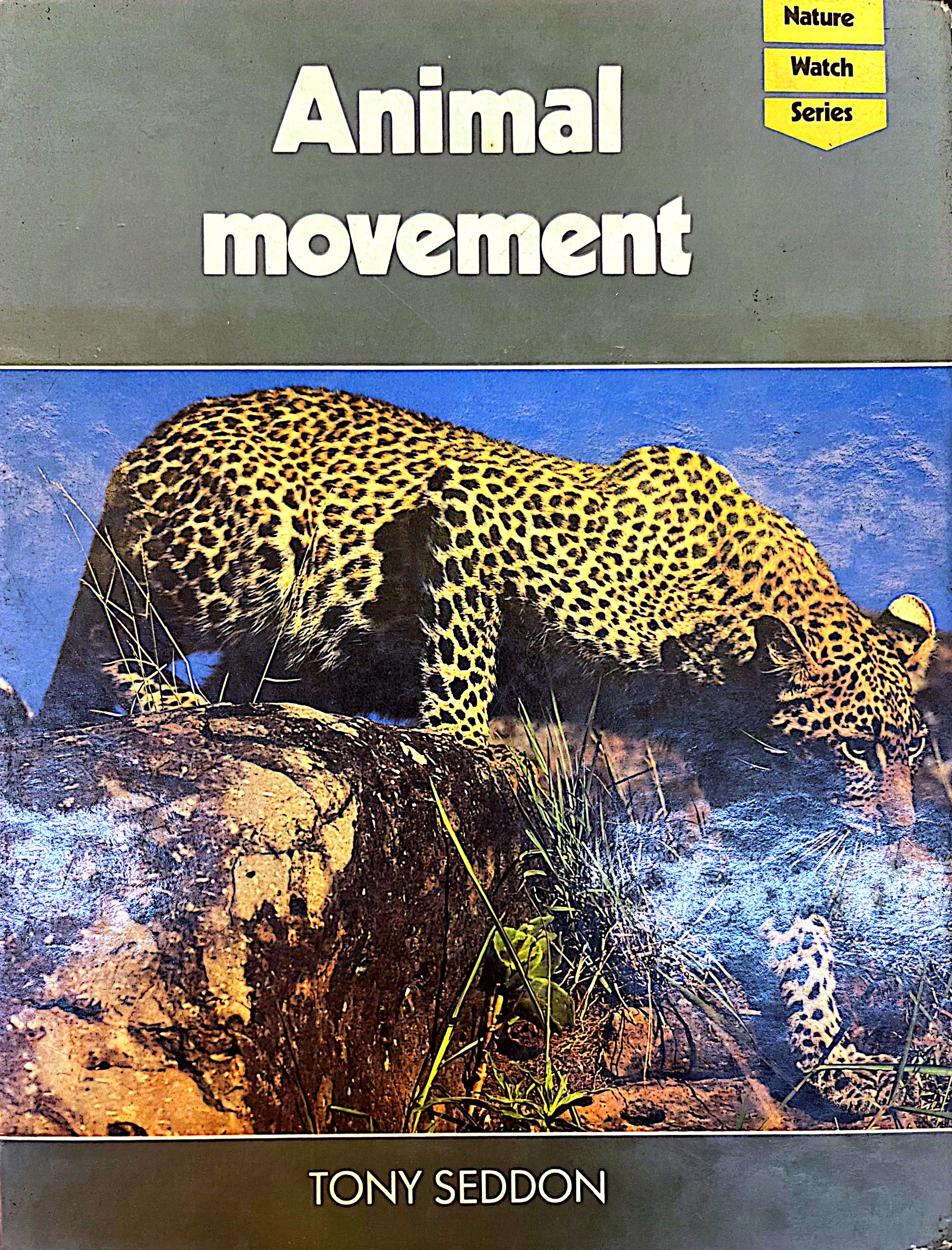 Animal Movement