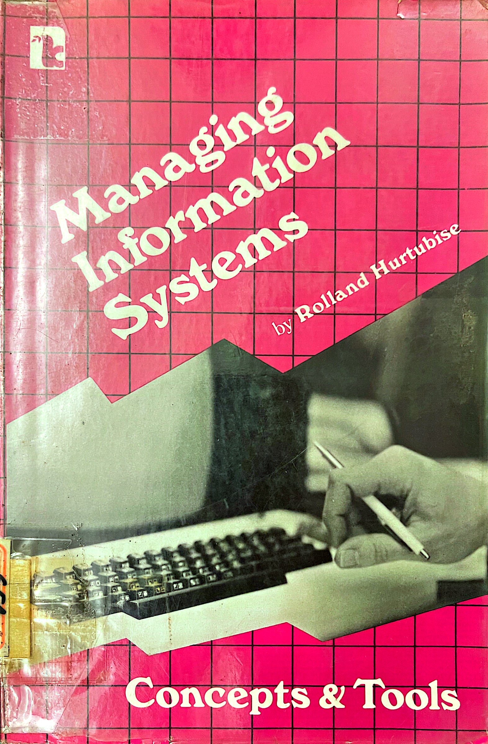 Managing Information System 