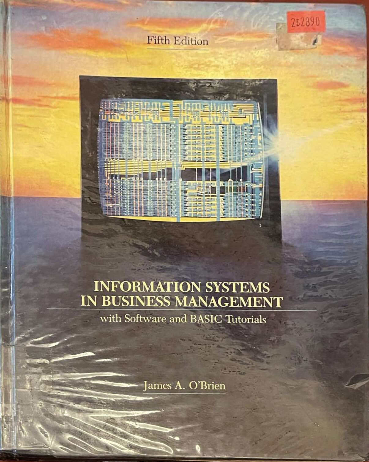 INFORMATION SYSTEMS IN BUSINESS MANAGEMENT