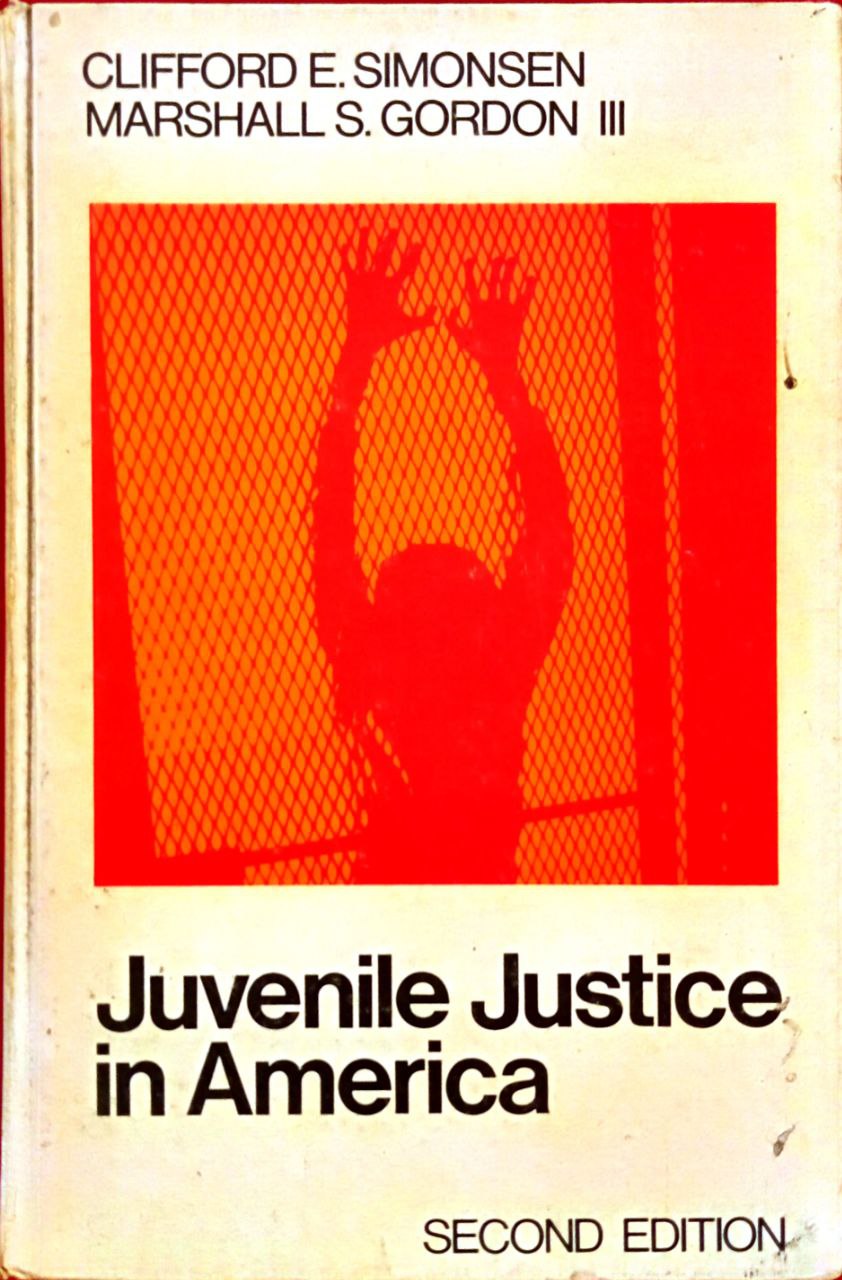 JUVENILE JUSTICE IN AMERICA SECOND EDITION