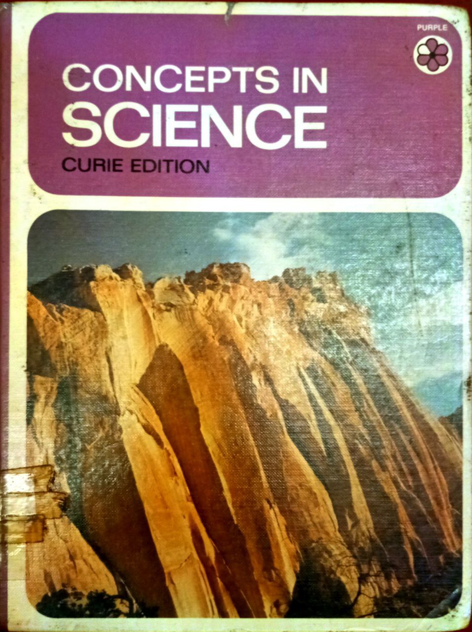 CONCEPTS IN SCIENCE CURIE EDITION