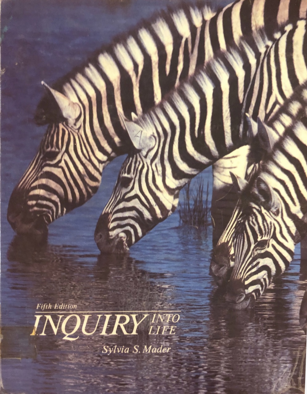 INQUIRY INTO LIFE 