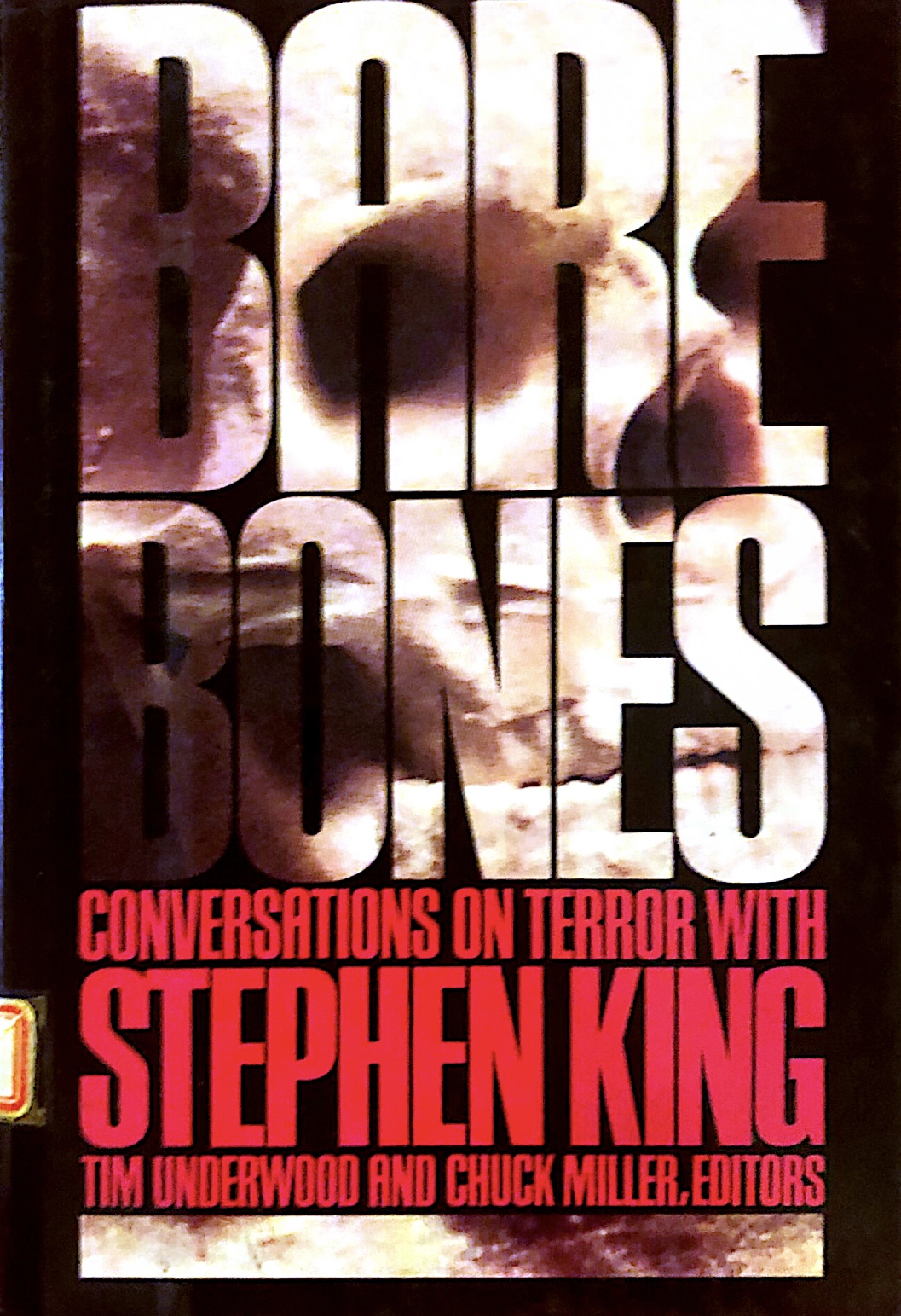 BARE BONES CONVERSATION ON TERROR WITH STEPHEN KING 